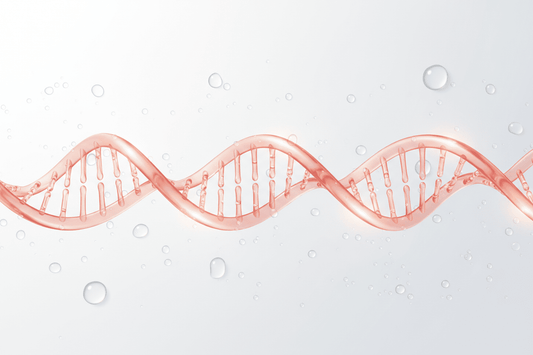 Skinbooster DNA Salmon: Rahasia Kulit Kenyal, Cerah, dan Awet Muda! - hnhskincare